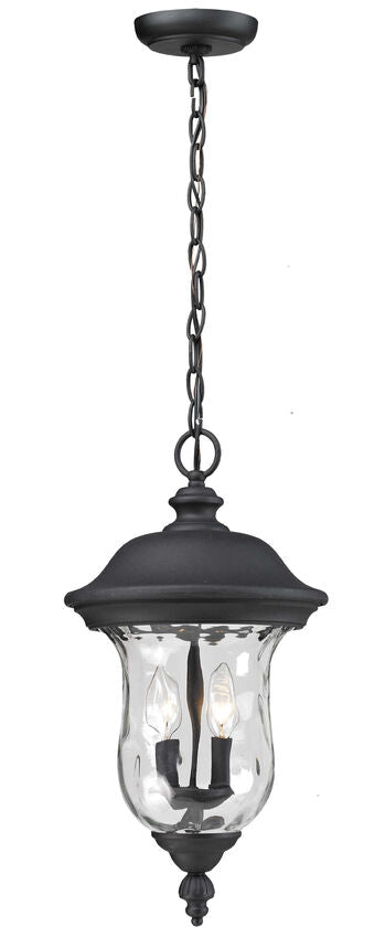 Armstrong 533CHM 2 Lights Outdoor Chain Mount Ceiling Hanging Pendant Fixture 10.0" x 10.0" x 18.82" Black Aluminum Clear Waterglass Glass Line Voltage Candelabra 120V 2 E12 Base Sockets for Garden, Exterior Lighting