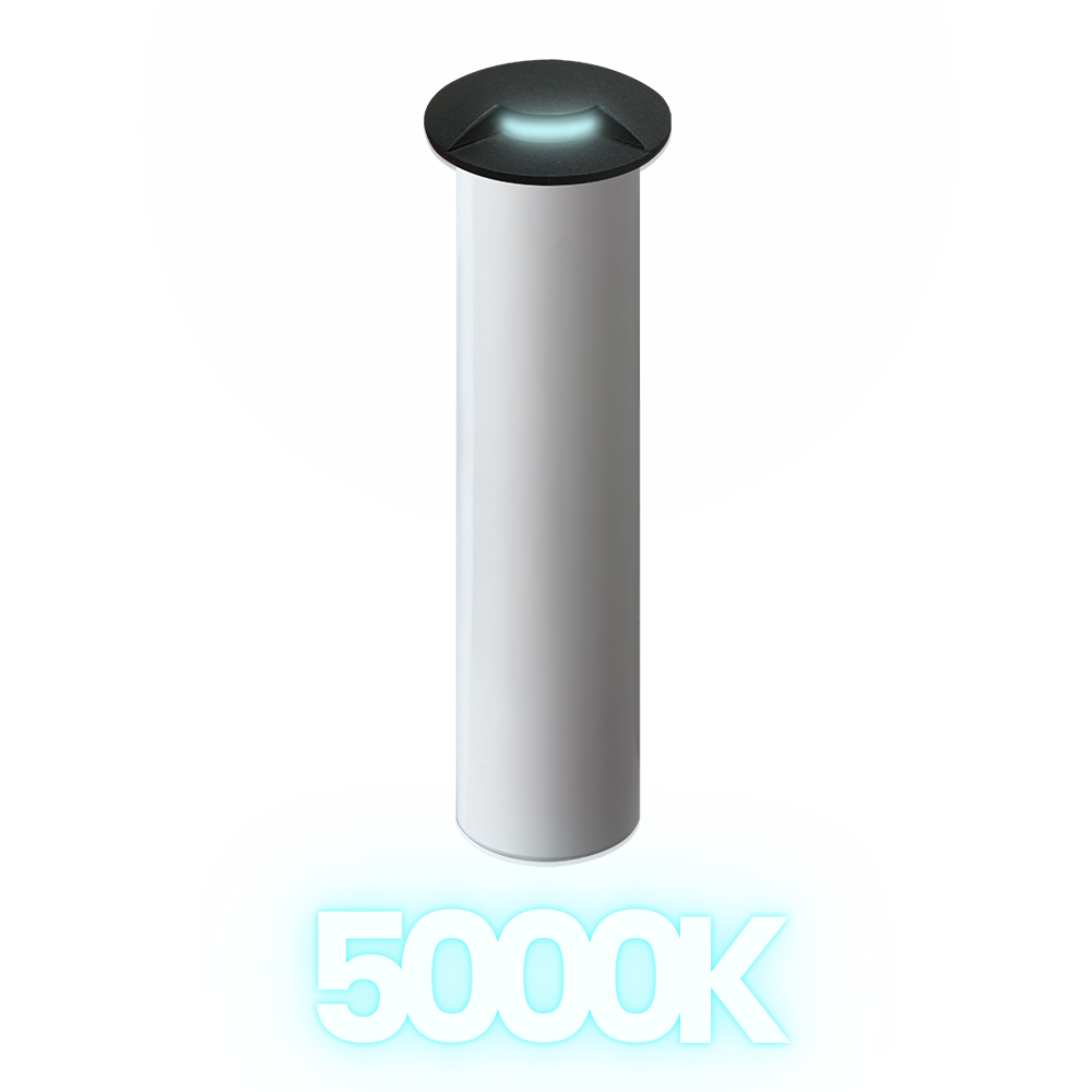 DM53 Stainless Steel In-Ground Well Light | 3W Integrated LED 12V Low Voltage Landscape Light