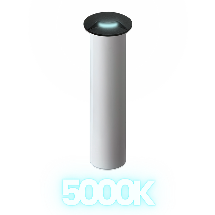 DM53 Stainless Steel In-Ground Well Light | 3W Integrated LED 12V Low Voltage Landscape Light