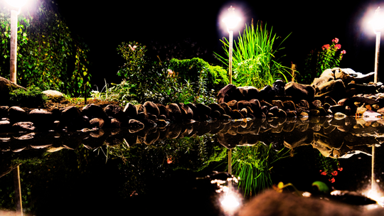 Incorporating Water Features into Your Landscape Design