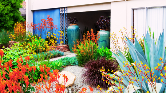 Creating a Wildlife-Friendly Garden with Native Plants