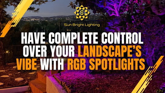 Bring Your Landscape to Life with the CDR85 Color-Changing RGB Spotlight 🌈🌴