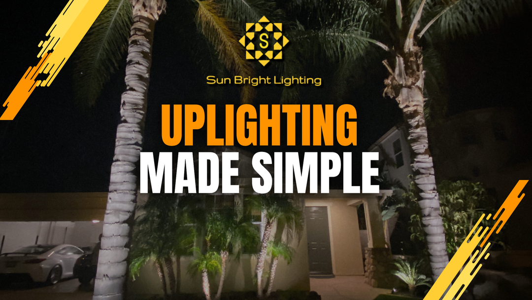 Uplighting: How to Highlight Trees and Architecture at Night
