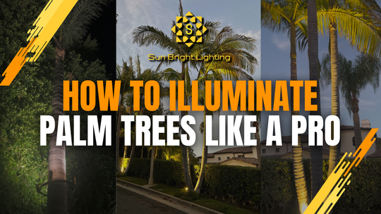 How to Illuminate Palm Trees Like a Pro: Spotlight + Mounting Ring Combo That Delivers