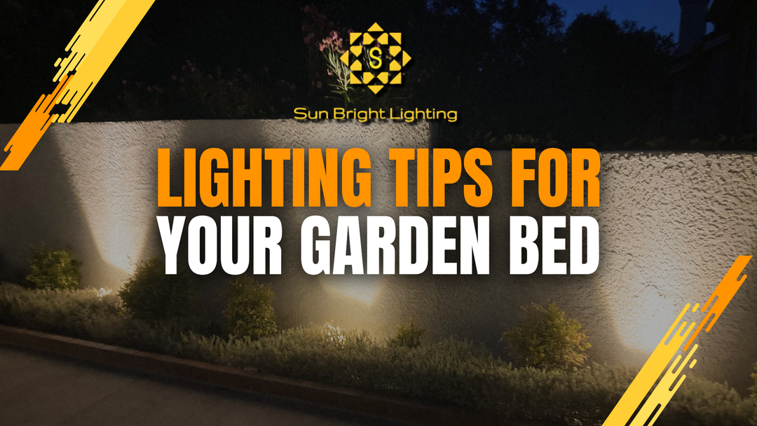 How to Light Garden Beds: Simple Outdoor Lighting Ideas for Plants