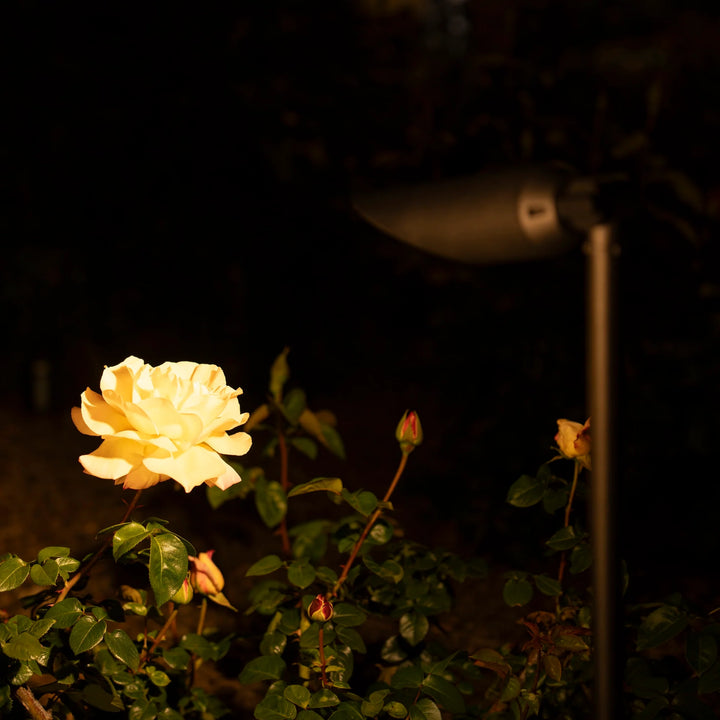 SPAL01 Acuto Tall Spotlight Low Voltage Aluminum 7W 3000K Warm White MR16 LED Spotlight Outdoor Landscape Lighting