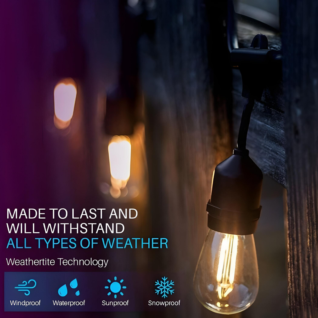 Clarovista LED Replacement S14 2W String Light Bulbs 12 Pack