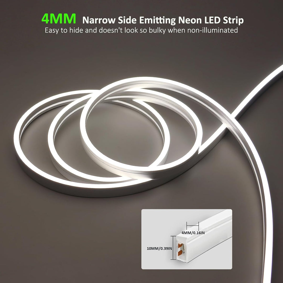Outdoor Landscape Lighting LED 12V Low Voltage SLN01 Dotless COB Neon LED 16.4FT (5M) Strip Light DC24V 2.44W/ft IP67 4MMx10MM Outdoor Rated Dimmable Low Voltage Silicone Strip Light 5000K Daylight White