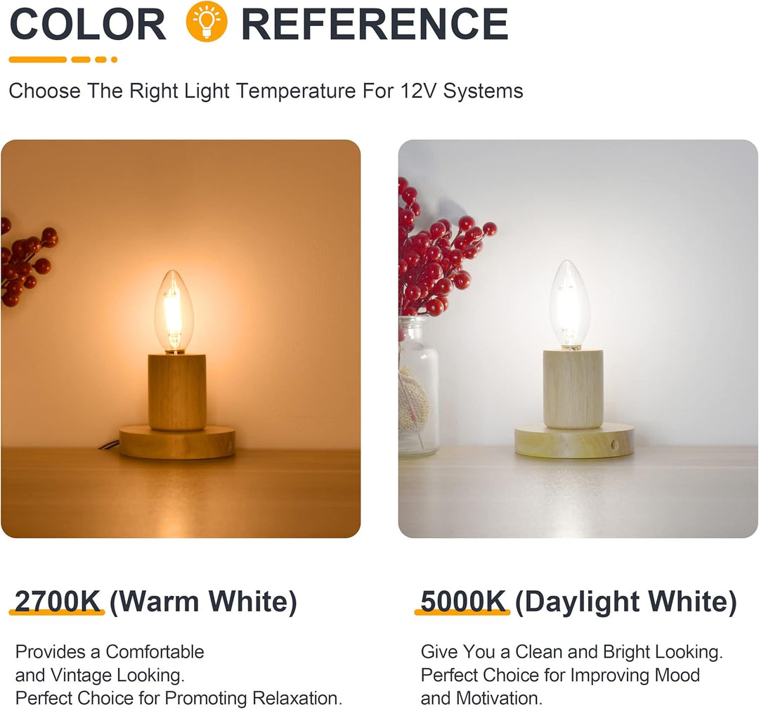 E12 4W Filament 12V AC/DC Candelabra and Small Base Package Low Voltage LED Light Bulbs Dimmable Energy Saving Light Bulb