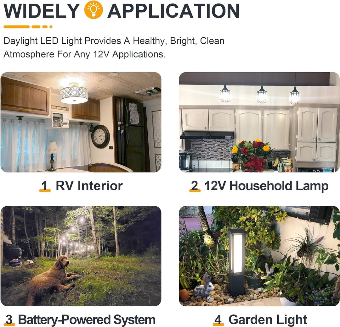 E12 4W Filament 12V AC/DC Candelabra and Small Base Package Low Voltage LED Light Bulbs Dimmable Energy Saving Light Bulb