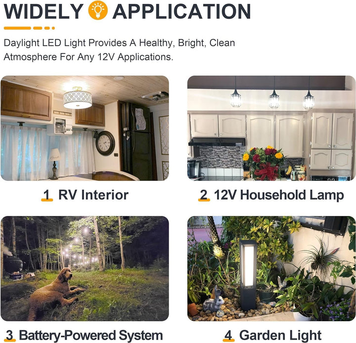 E12 4W Filament 12V AC/DC Candelabra and Small Base Package Low Voltage LED Light Bulbs Dimmable Energy Saving Light Bulb