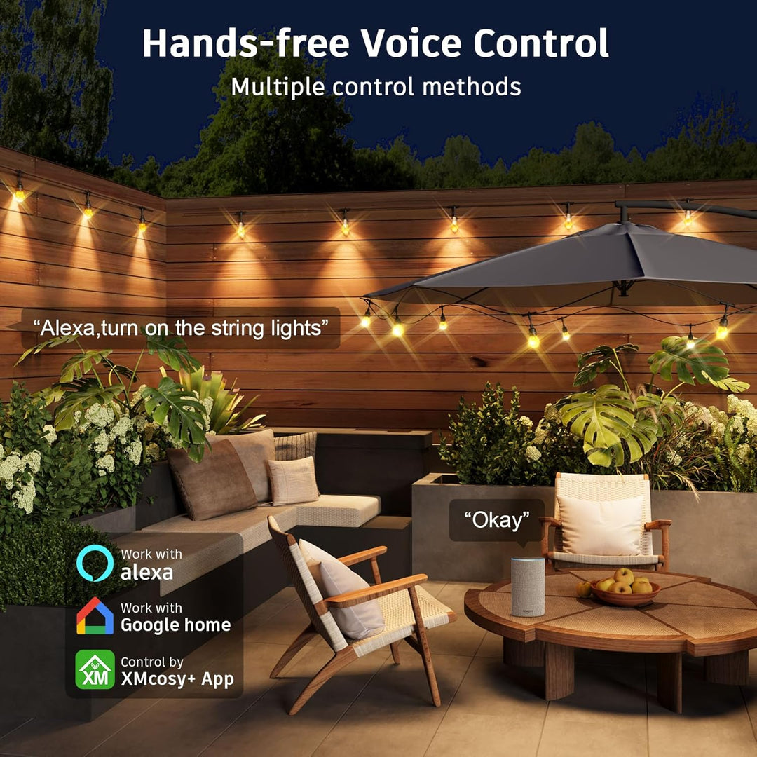 SLR100 LED RGBW Smart Bistro String Lights Cambio de color al aire libre Resistente a la intemperie 12V Bombillas Edison 