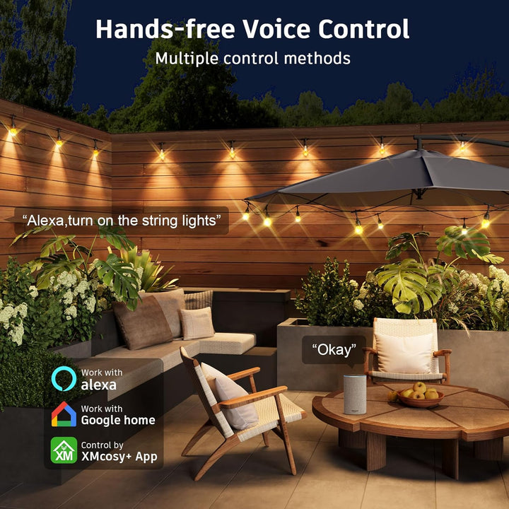 SLR100 LED RGBW Smart Bistro String Lights Cambio de color al aire libre Resistente a la intemperie 12V Bombillas Edison 