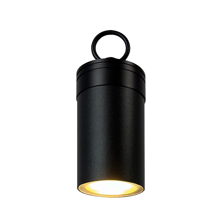 CD90 Cast Aluminum Hanging Light | 6W 3000K Warm White Integrated LED 12V Low Voltage Landscape Light