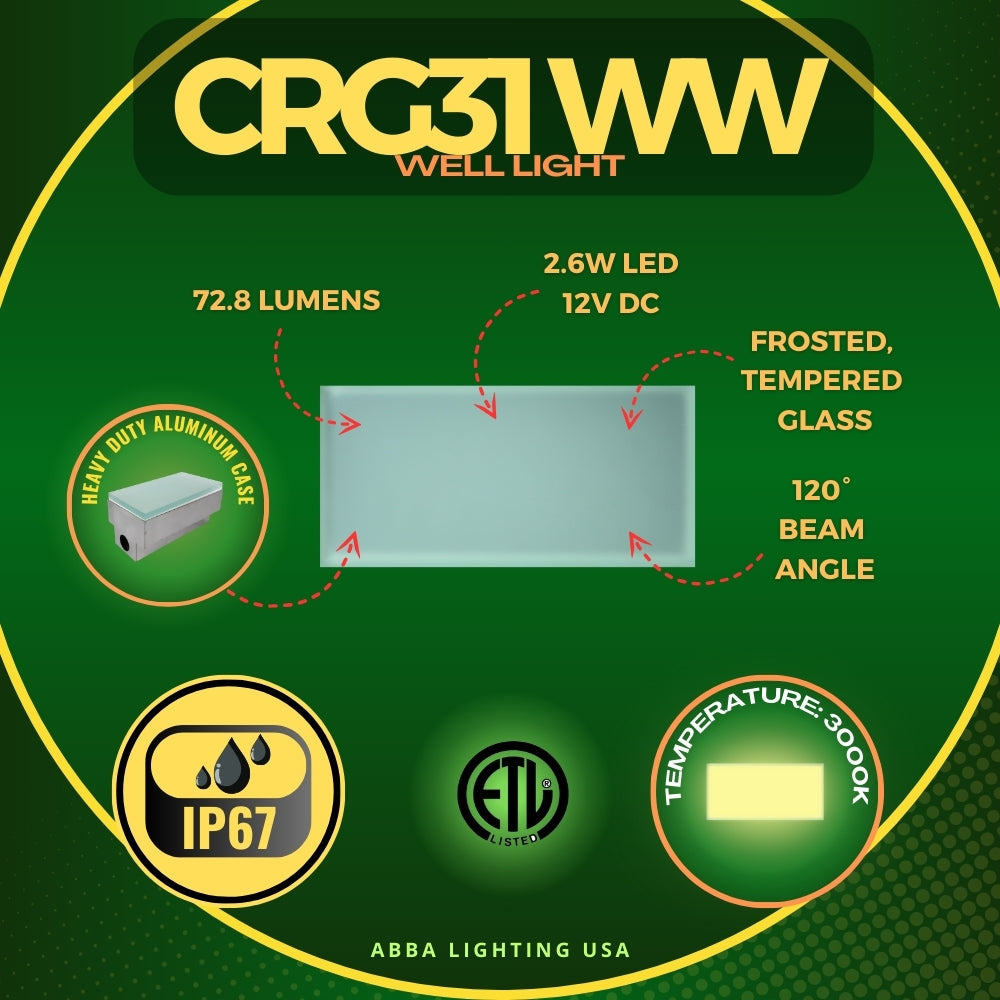 CRG31 4x/8x/12x Package  Low Voltage In Ground RGB or WW LED Brick Paver Light Rectangle IP67 Waterproof Warm White