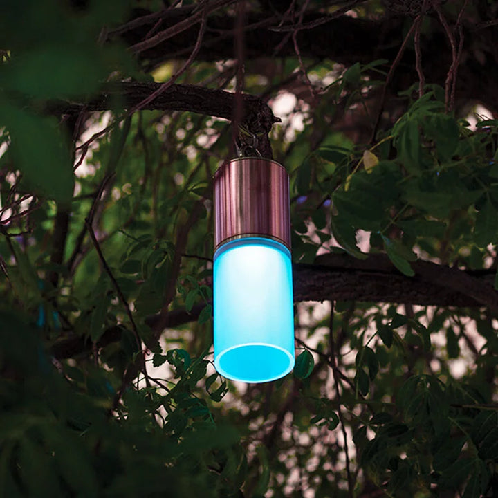 Brilliance Glacier Low Voltage Directional MR16 Brass and Acrylic Hanging Pendant Downlight Outdoor Landscape Lighting