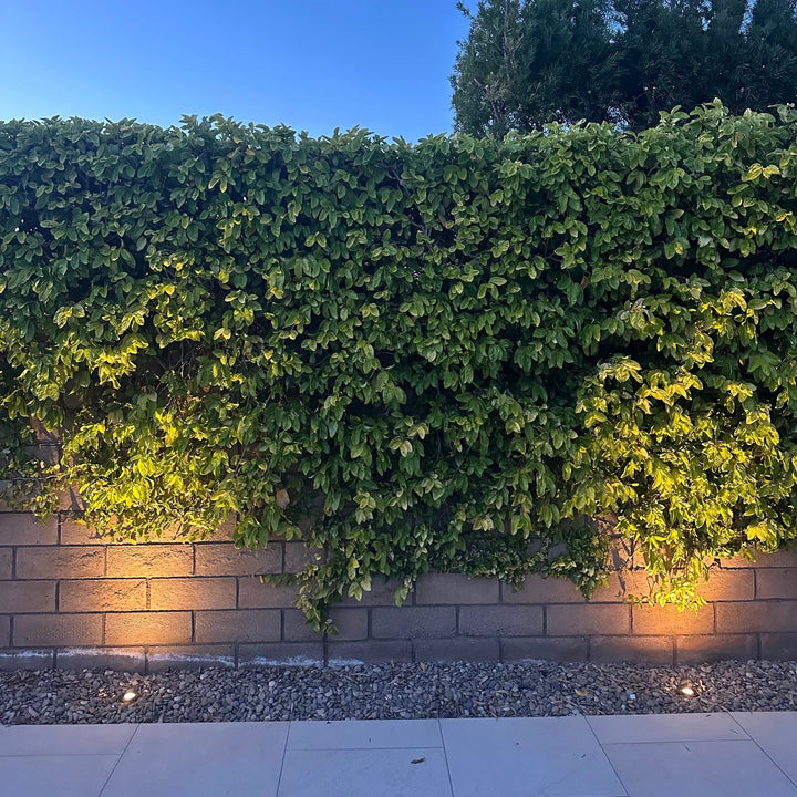 UNBP02 Stelvio Cast Brass In-Ground Well Light Low Voltage Landscape Lighting