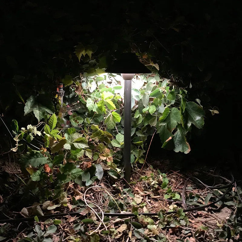 Outdoor Landscape Lighting LED 12V Low Voltage PLB02 Clear Lens Cast Brass Path Light | 12V Low Voltage Landscape Light Lamp Ready G4 Socket