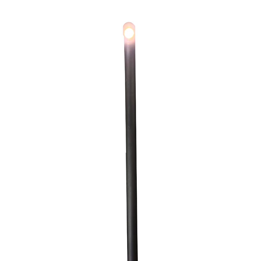Outdoor Landscape Lighting LED 12V Low Voltage PLB21 Cast Brass 3W 3000K Warm White Integrated LED Cane Style Curved 12V Low Voltage Pathway Light