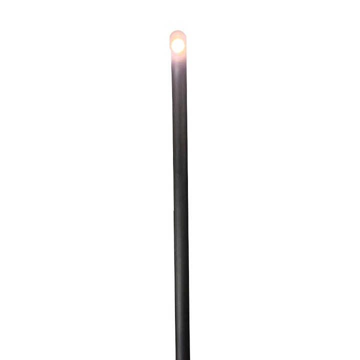 Outdoor Landscape Lighting LED 12V Low Voltage PLB21 Cast Brass 3W 3000K Warm White Integrated LED Cane Style Curved 12V Low Voltage Pathway Light