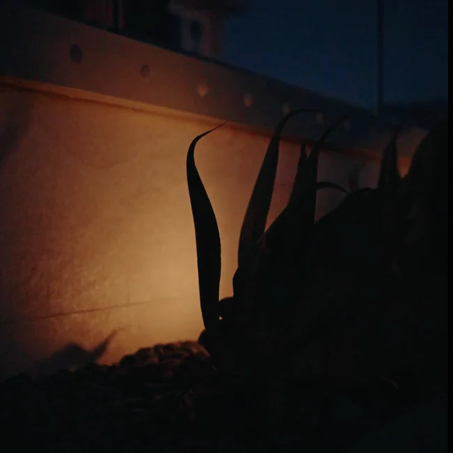 FLBP02 Tulay Antique Brass Squared Flood Light Low Voltage Landscape Lighting