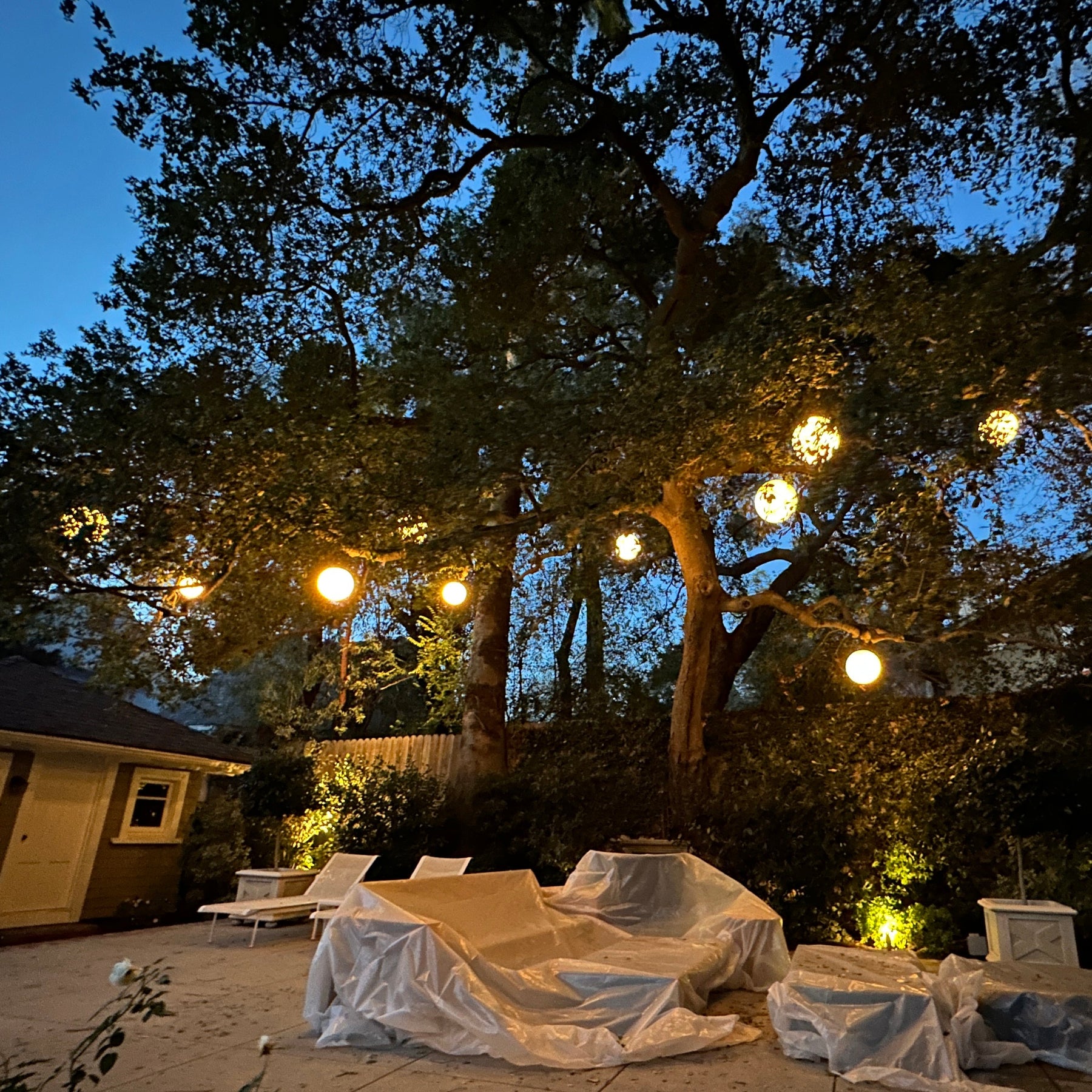 Hanging low voltage lights discount
