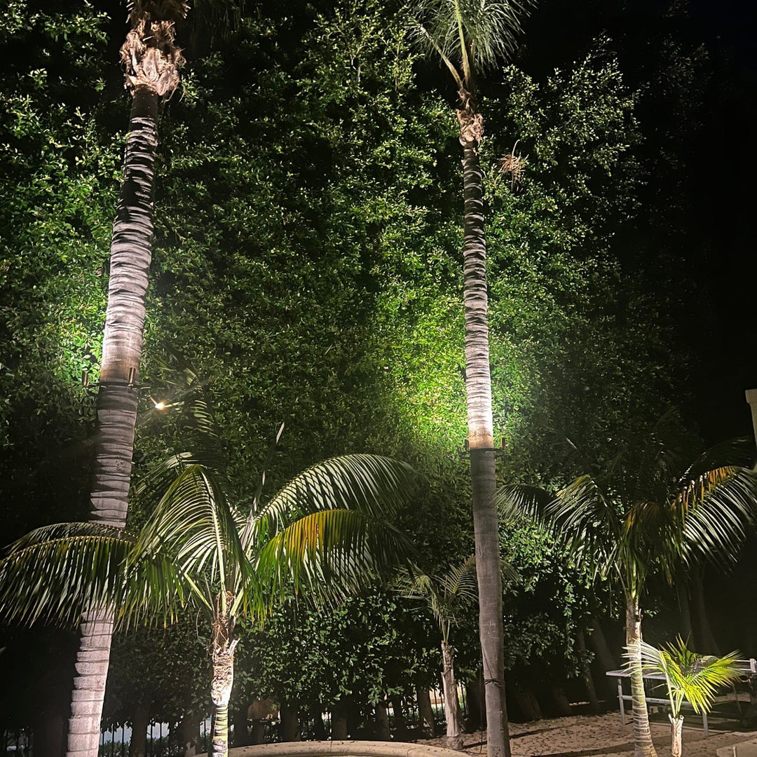 palm plant light TRA01 Palm Tree Mounting Ring Light Bracket Outdoor Lighting Accessory