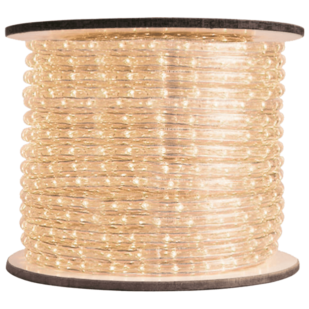 Blue Led Rope Lights 120 Volt | Shelly Lighting